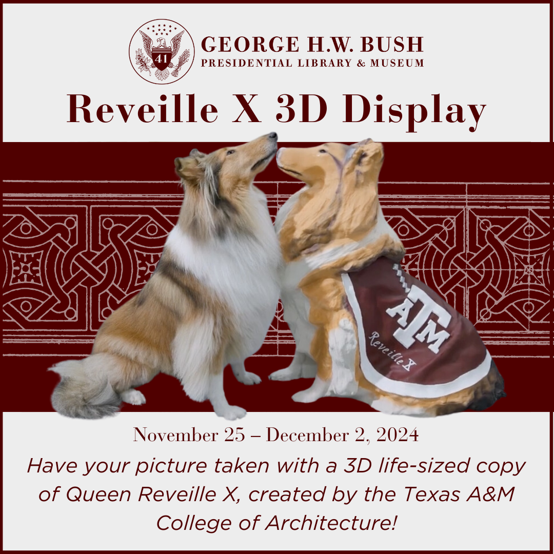 Reveille X with 3D Reveille