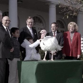 Pardoning of Turkey
