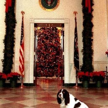 Millie in Grand Foyer