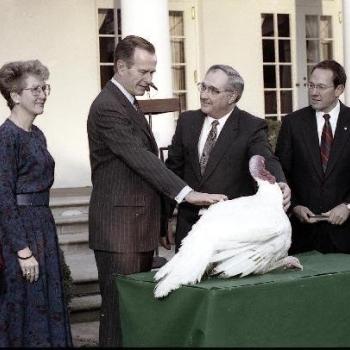 Pardoning of Turkey