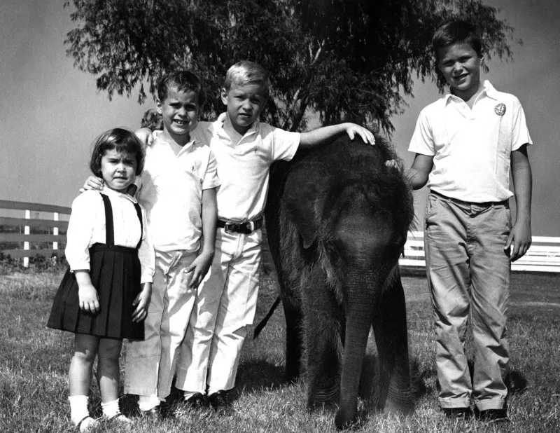 Doro, Marvin, Neil, and Jeb with Elephant