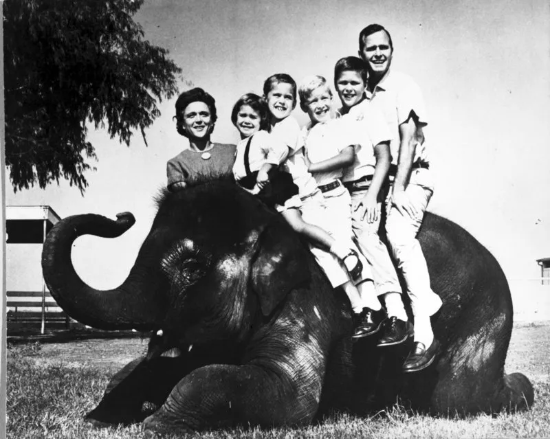 Bush Family Poses on Elephant During 1964 Senate Campaign
