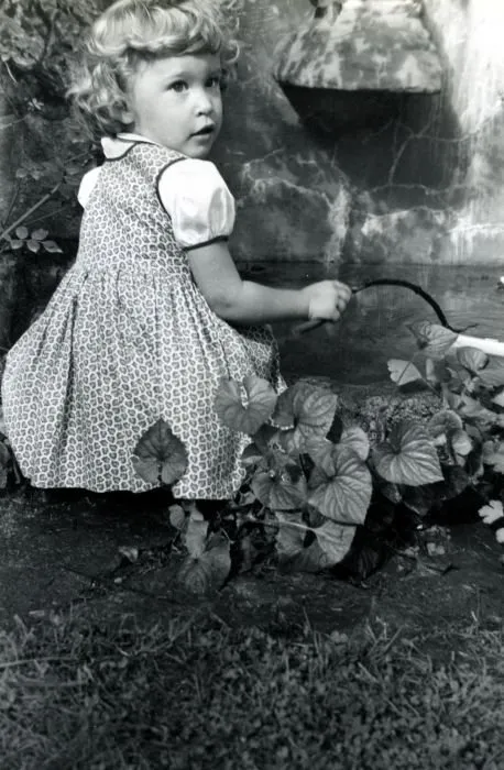 Robin Plays in the Water