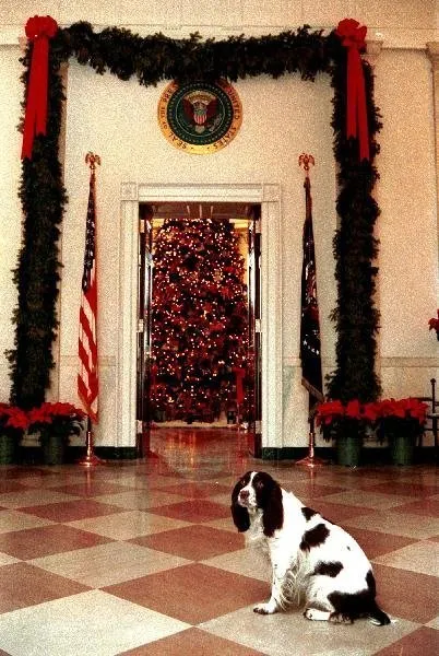 Millie in Grand Foyer