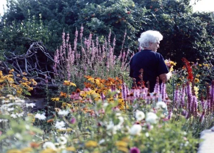 Barbara Bush works in her flower garden at Walker's Point