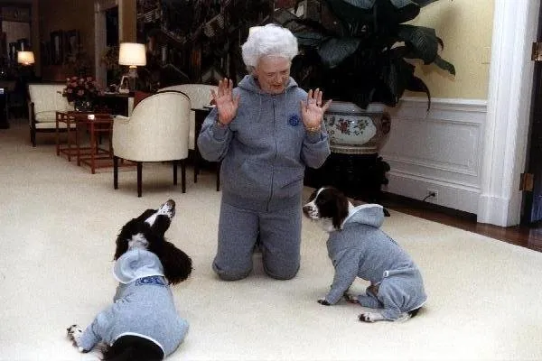 Mrs. Bush, Ranger, and Millie in sweatshirts