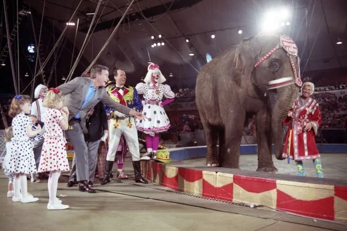 Vice President Bush attends the Circus with his grandchildren and "throws his hat in the ring" for the 1988 Election