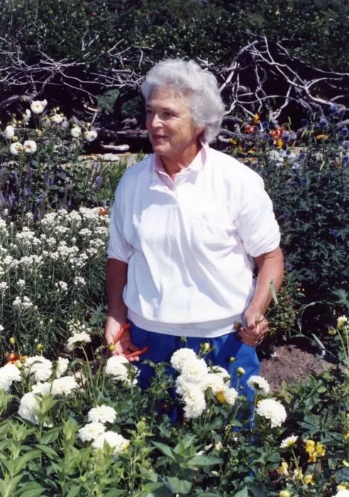 Mrs. Bush works in her flower garden at Walker's Point, Kennebunkport, ME,