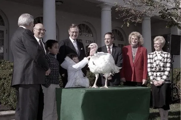 Pardoning of Turkey