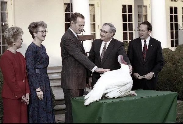 Pardoning of Turkey